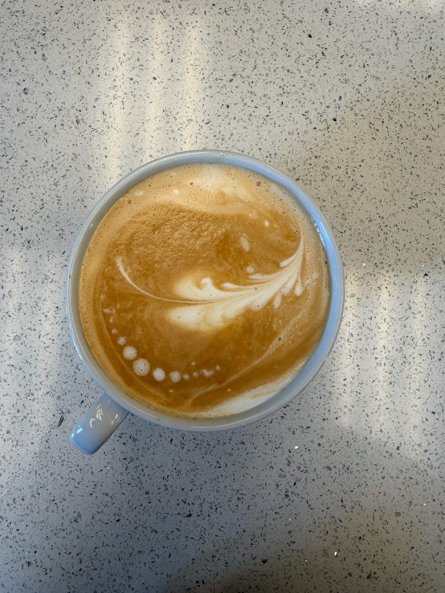 Top-down latte with feathered latte art